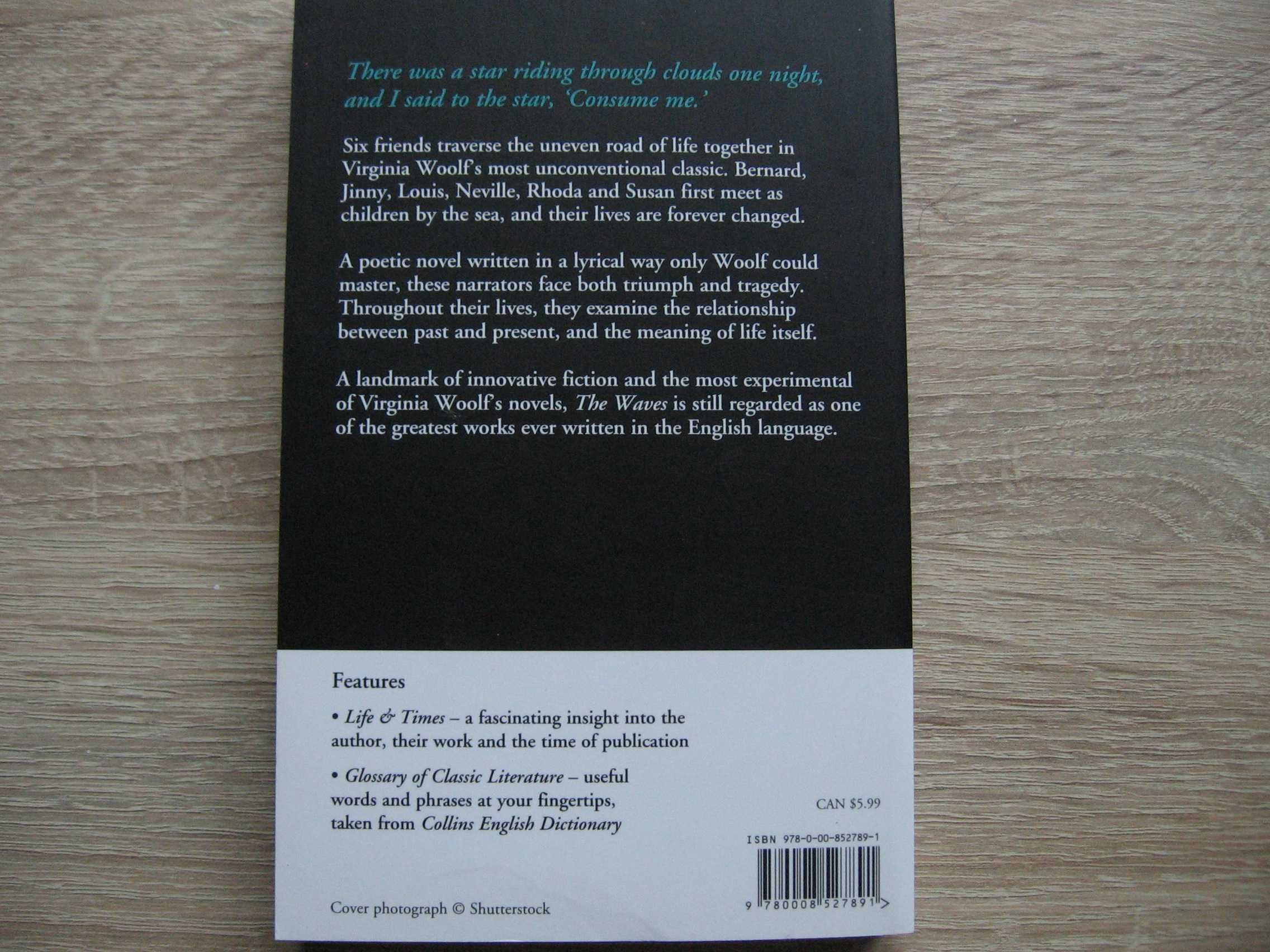 The Waves - Virginia Woolf