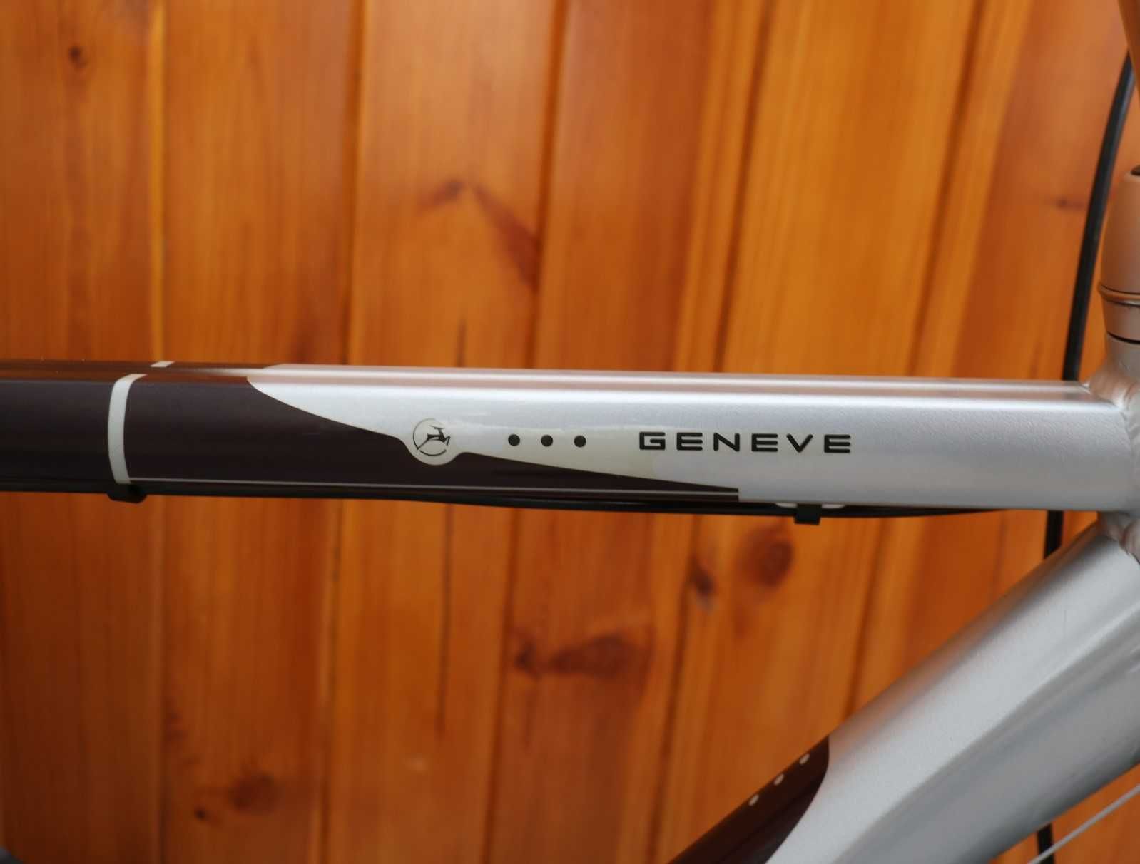 Rower męski Gazelle Geneve Gold Line. H 53. I inne rowery z Holandii