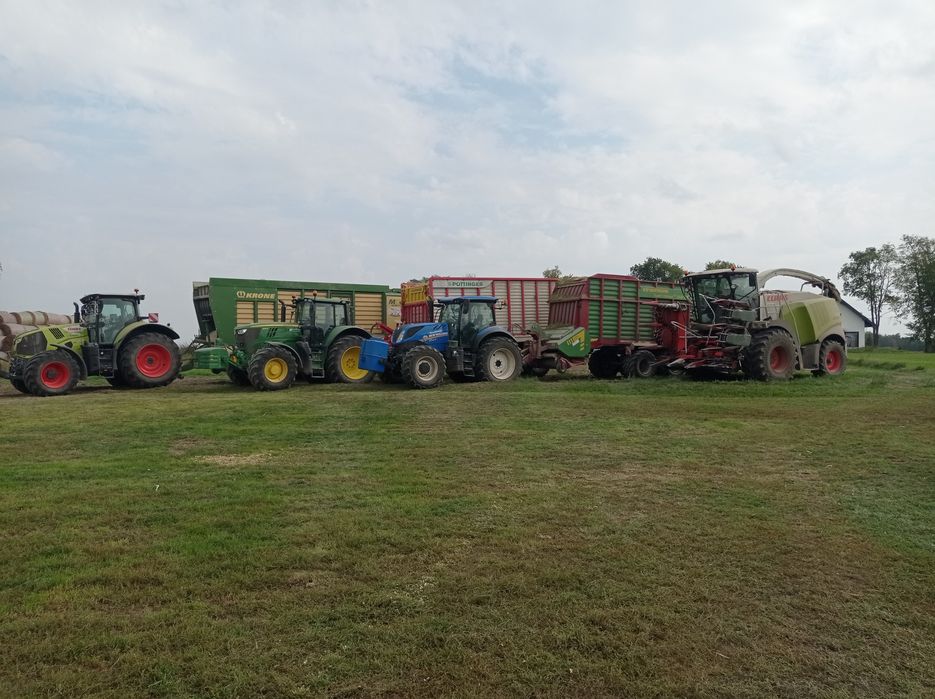 Usługi koszenia kukurydzy