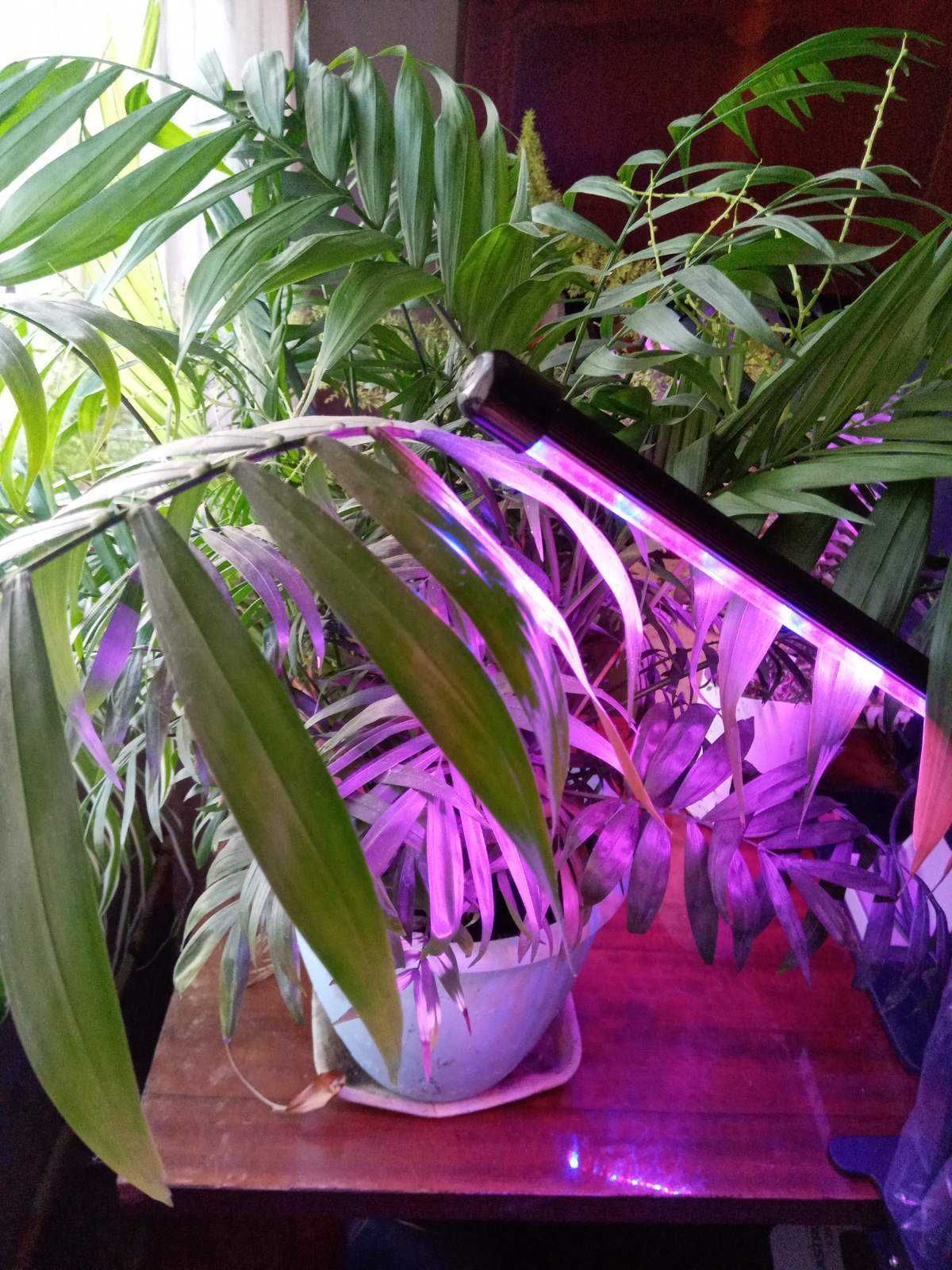 Фіто лампа для покращення росту рослин на 2 світильника