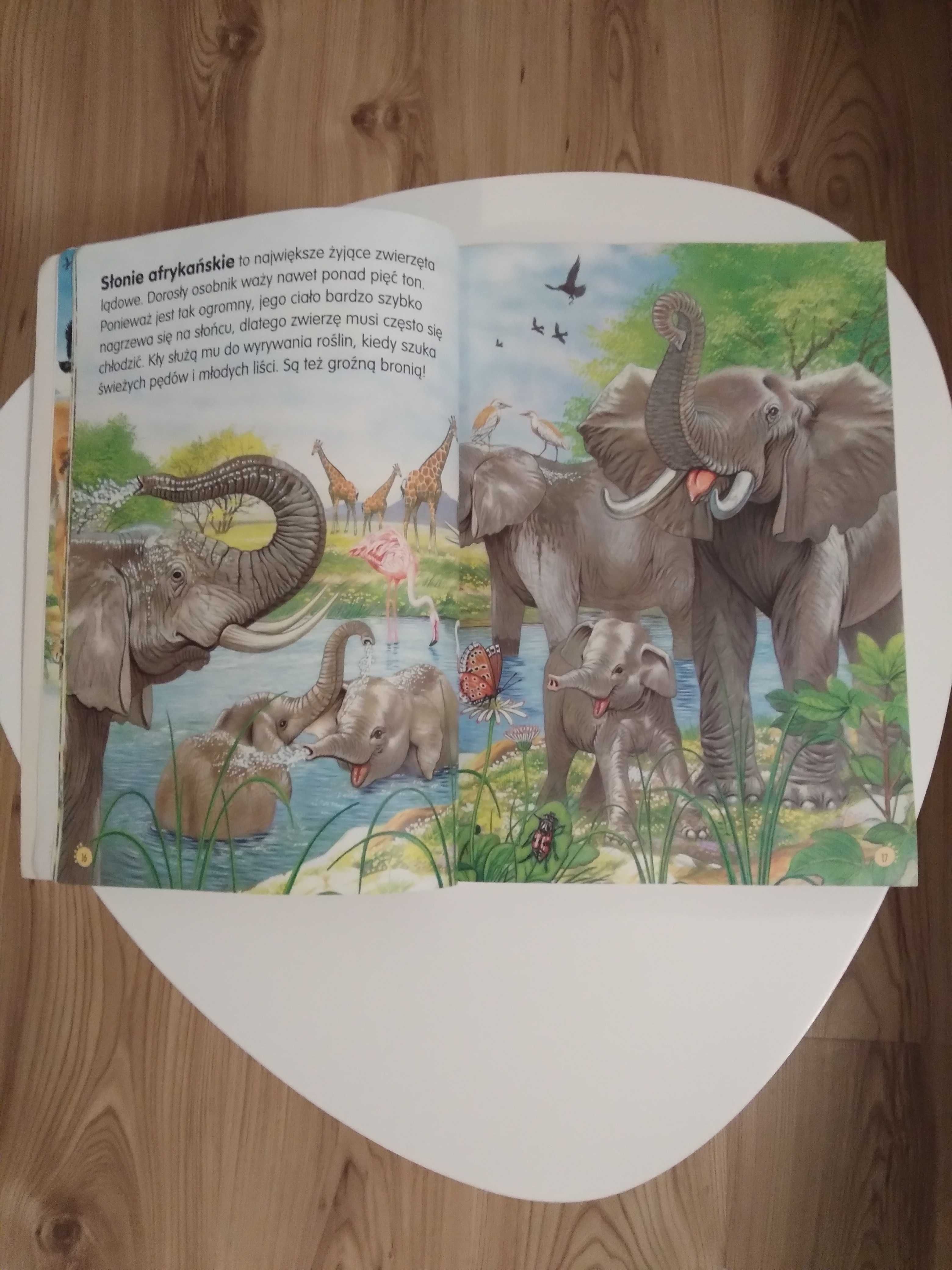 "Zwierzęta świata" - książka dla dzieci