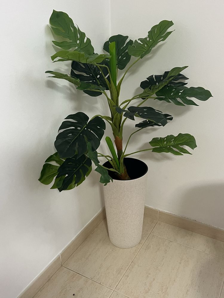 Vendo moveis por motivo de mudança
