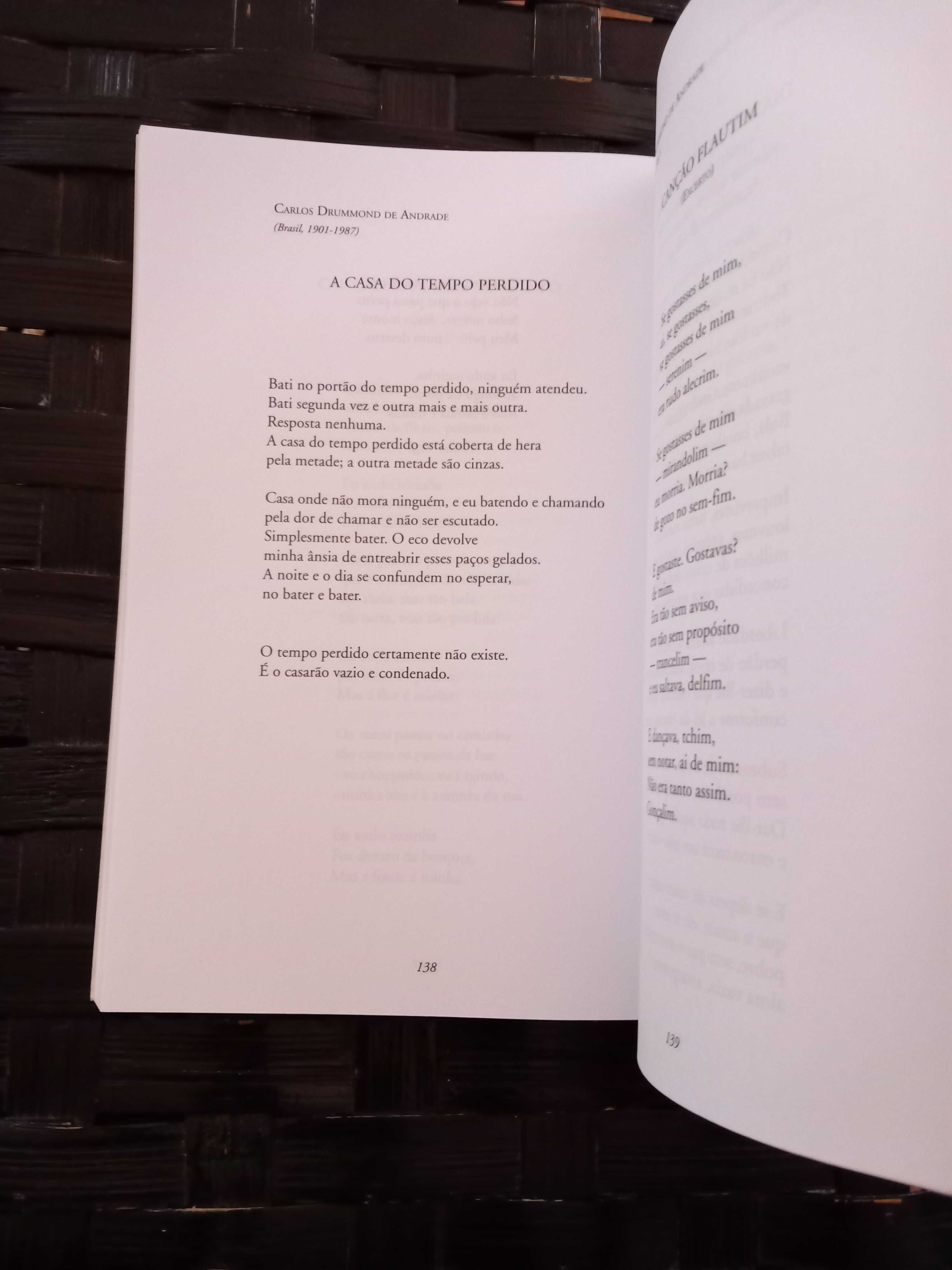101 Poetas Iniciação à Poesia Portuguesa
