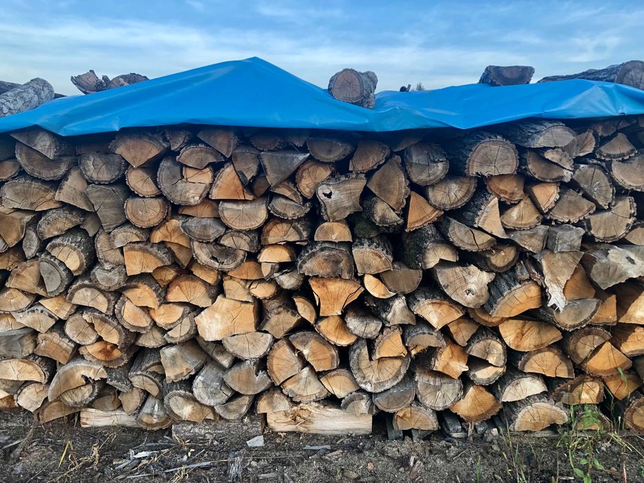 Drewno kominkowe i opałowe Różne Rodzaje ! Milicz