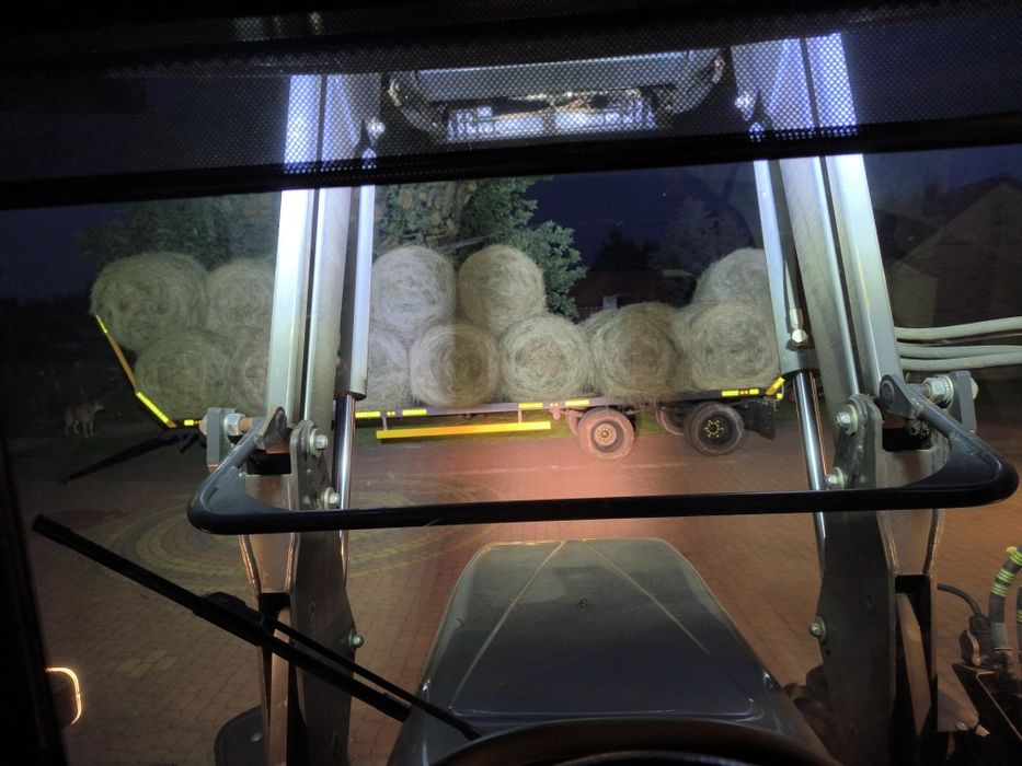 Siano bele dla koni 2025