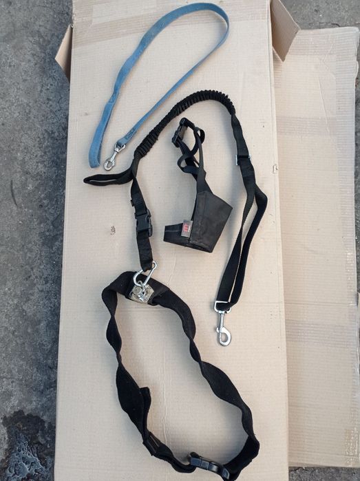 Поводок/сбруя/намордник