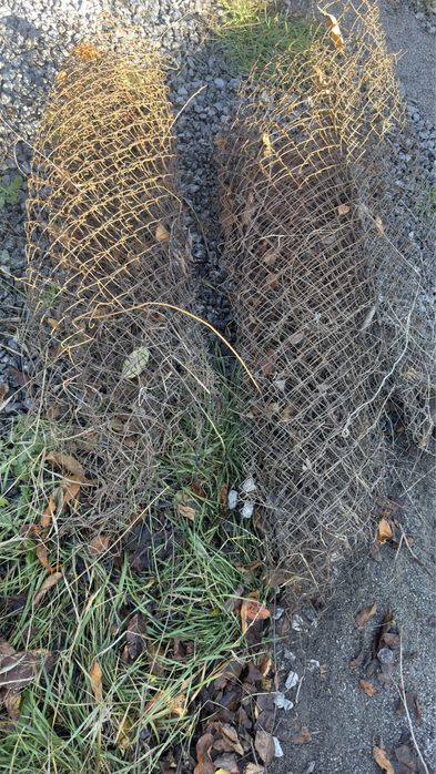 Сітка рабиця