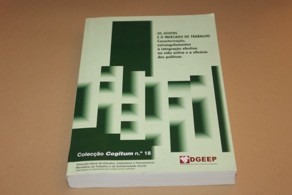 Os Jovens e o Mercado de Trabalho Colecção Cogitum nº 18