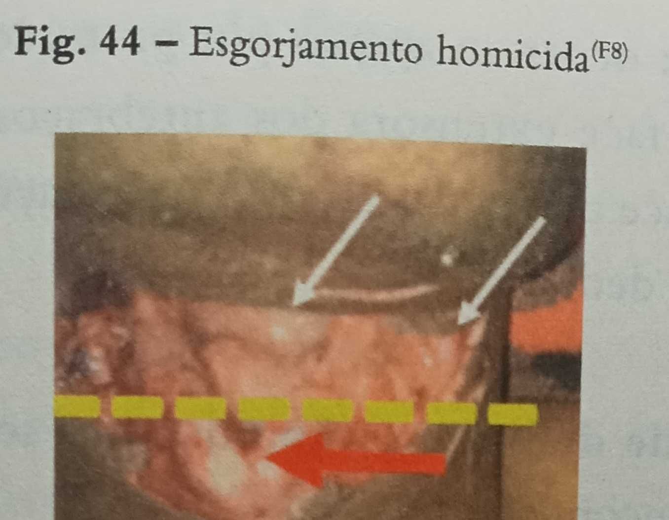 Uma espetacular obra para profissionais de Emergência Médica