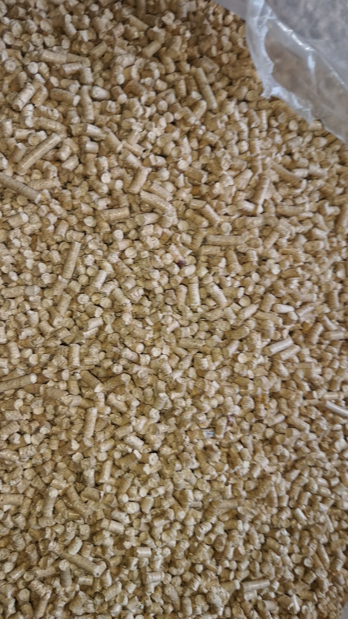 Pellet z trociny sosnowej