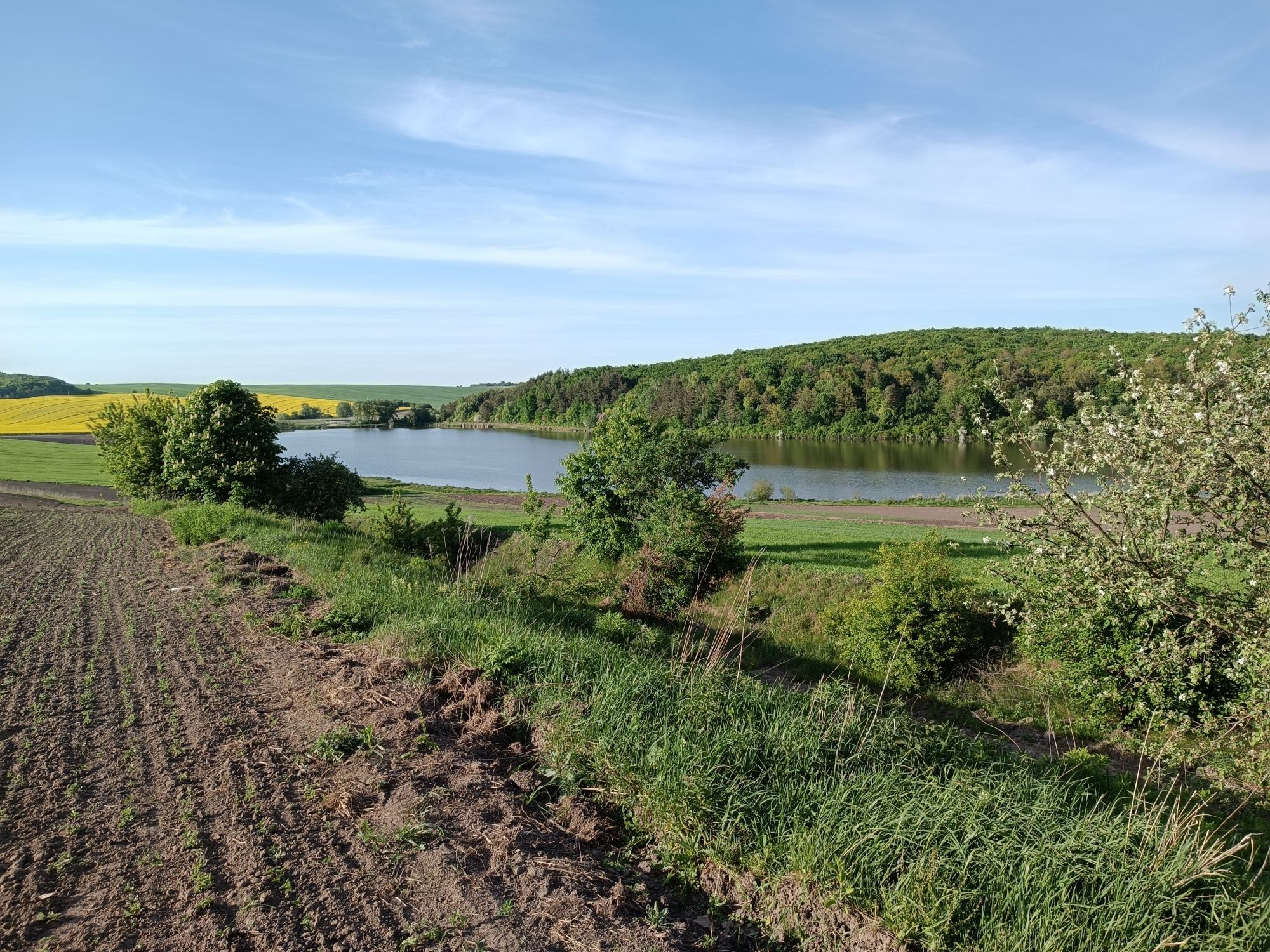 Продам земельну ділянку під Будівниство. Село Радів.  28 км від Рівног