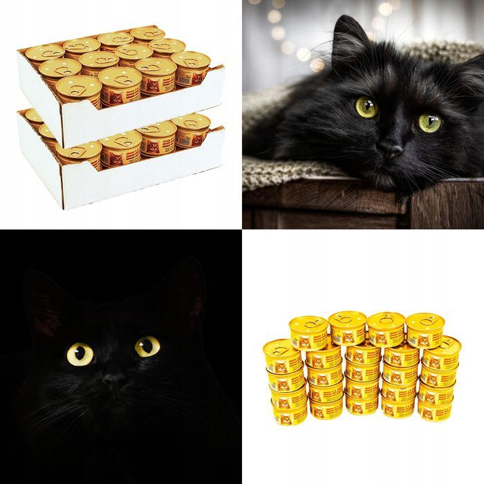 48 X 85 G Karma Mokra Dla Kotów Kurczak Kawałki W Sosie