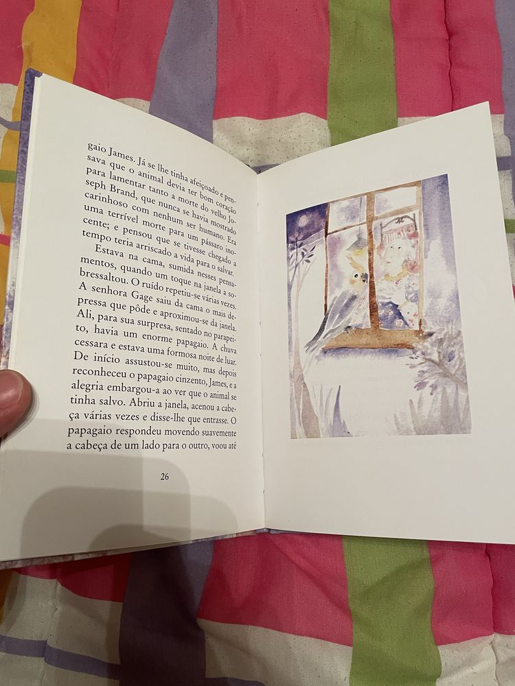 A Viúva e o Papagaio