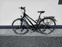 Rower Pegasus Premio SL