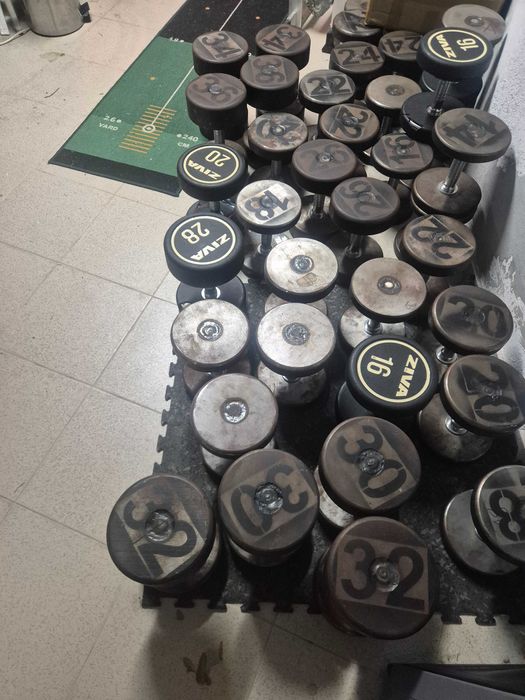 Halteres 5kg - 36kg