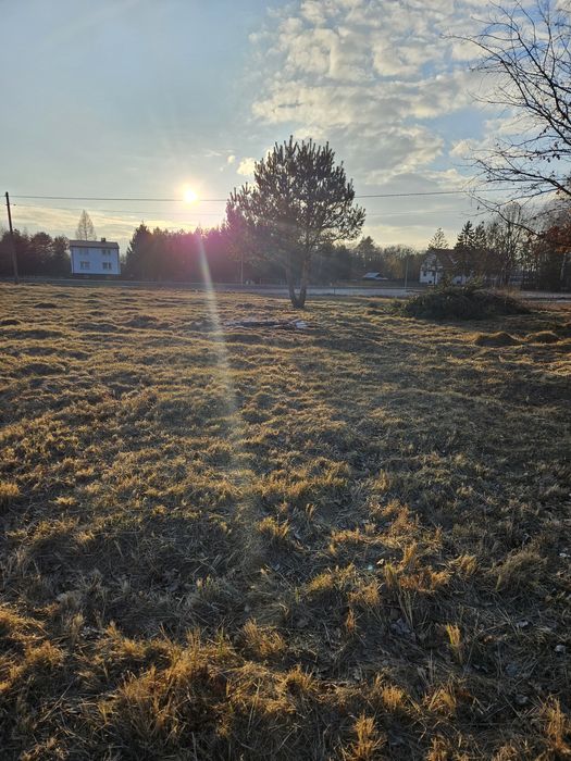 Działka Lipsko Polesie Warunki zabudowy Blisko Zamościa i Roztocza