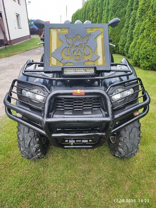 Kawasaki Brute force 650, samochodowy inny