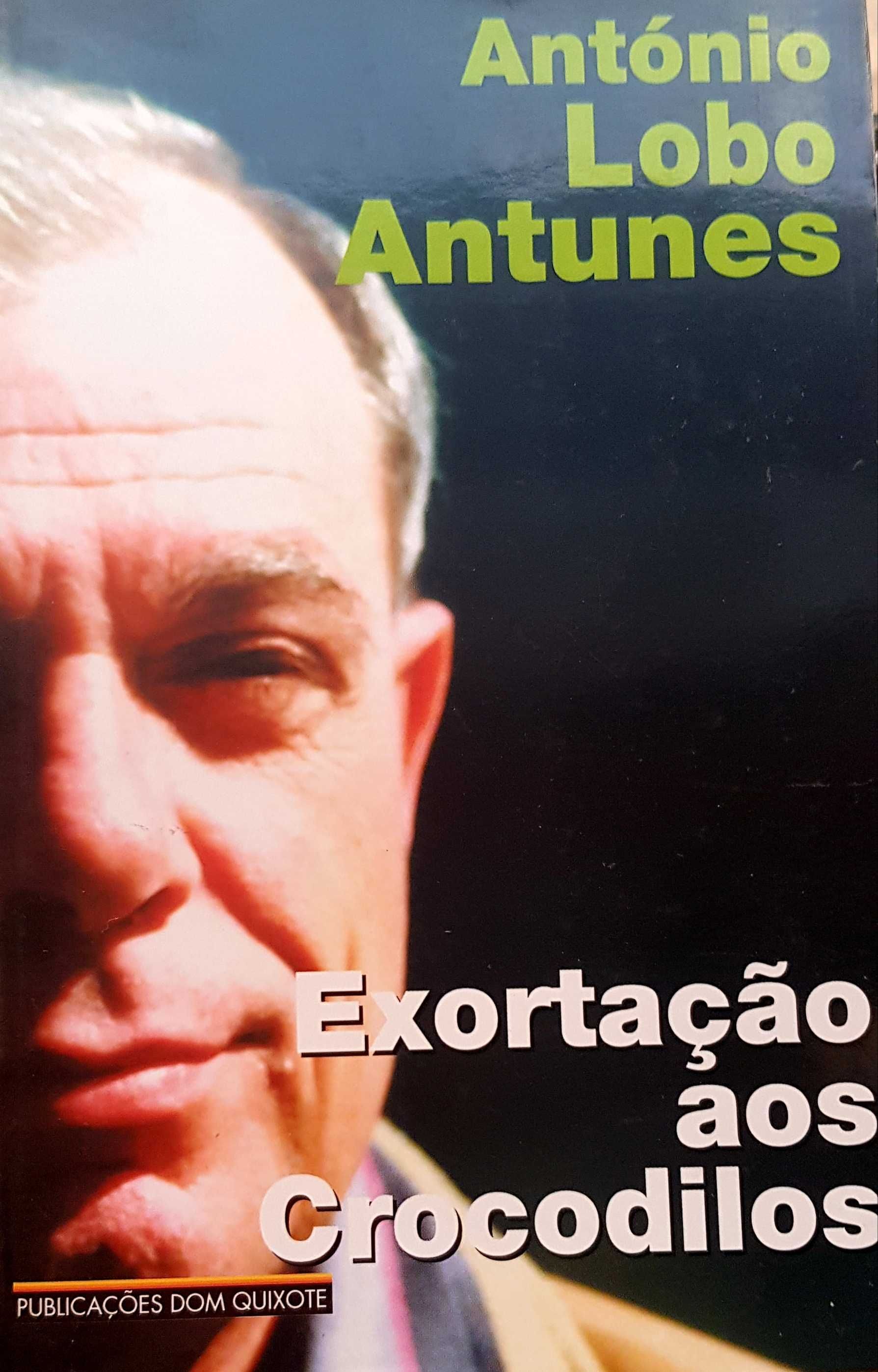 Livros Antonio Lobo  Antunes