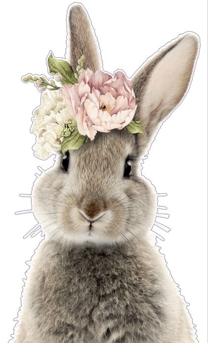 Dekoracyjna naklejka ścienna królik 220x179 cm