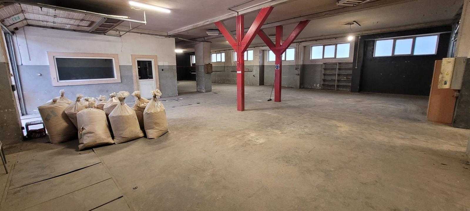 Hala, magazyn do wynajęcia Jelcz-Laskowice