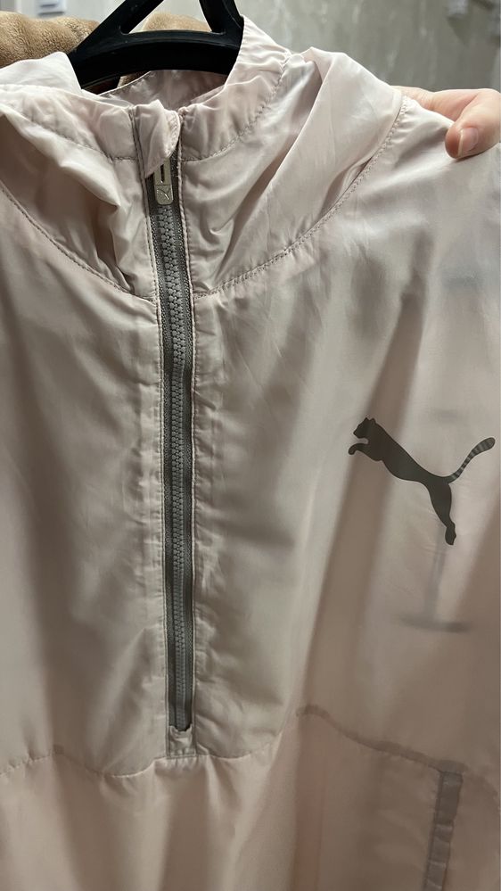 Вітрока puma