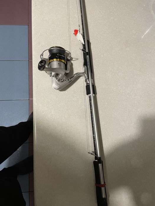 Mitchell sw 15-50 gram