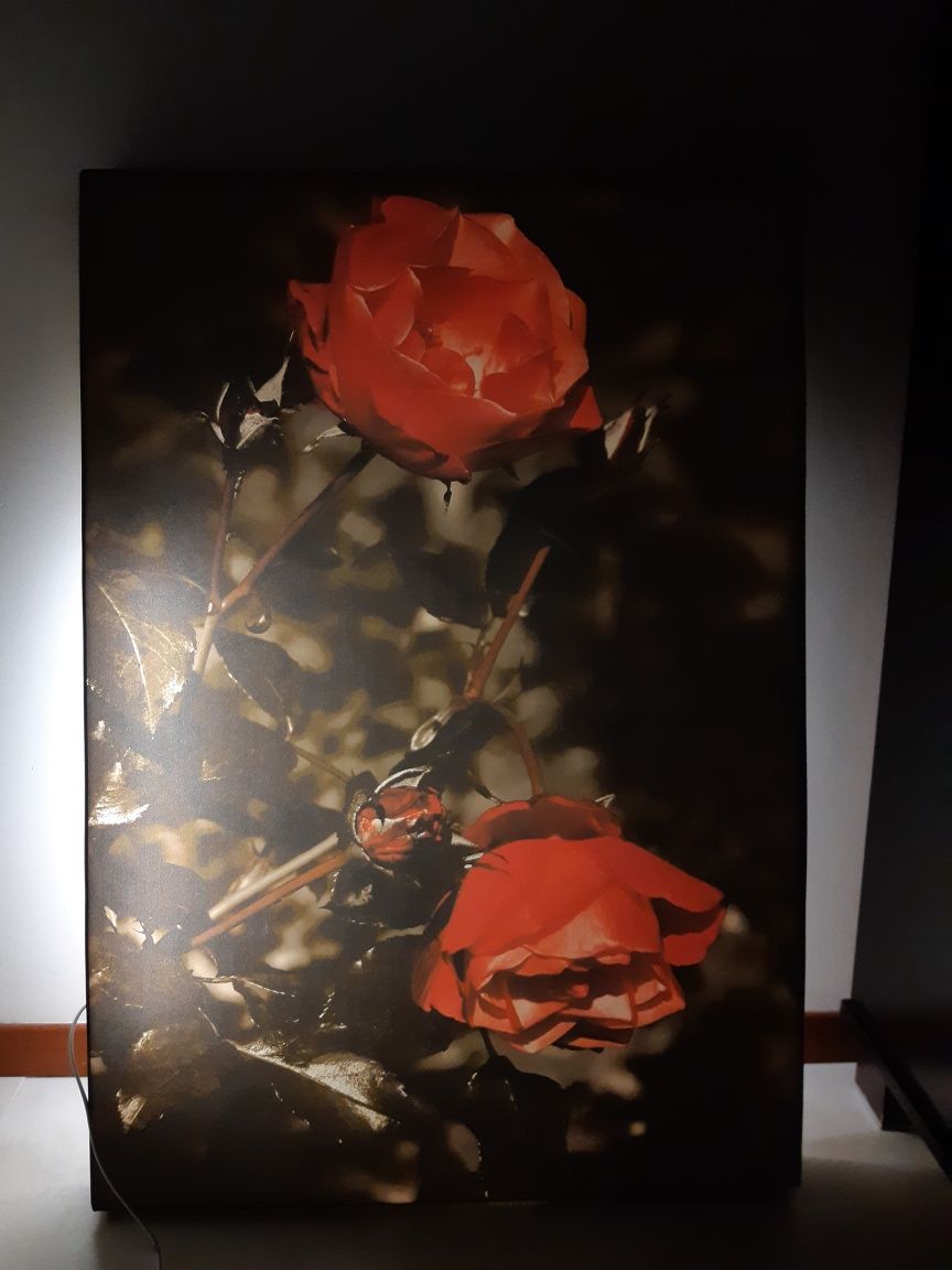 Obraz podświetlany 70x100cm róże