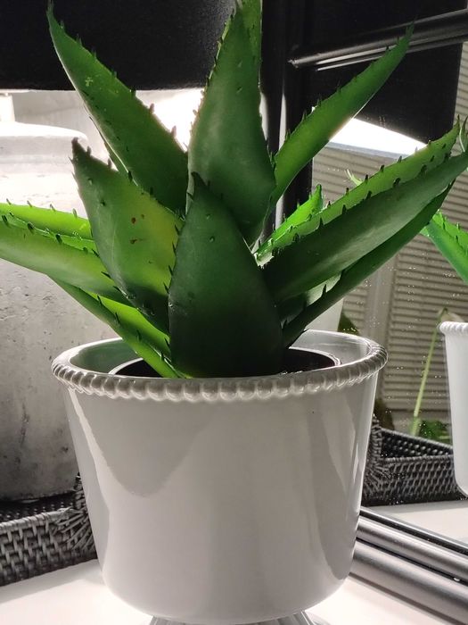 Sztuczna roślina 30 cm