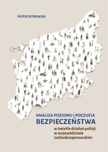 Analiza poziomu i poczucia bezpieczeństwa.. - Piotr Ostrowski