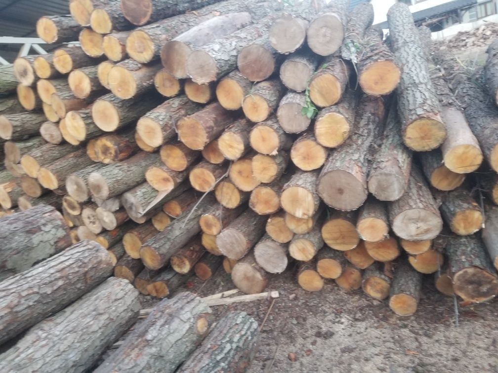 opal sosna SUCHE  zrzyny tartaczne pociete gotowe  do palenia