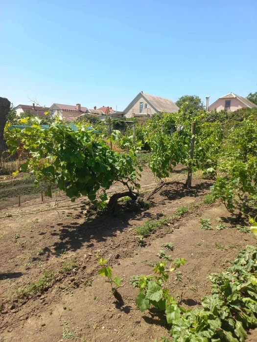 Продам Участок в Крыжановке
морская сторона