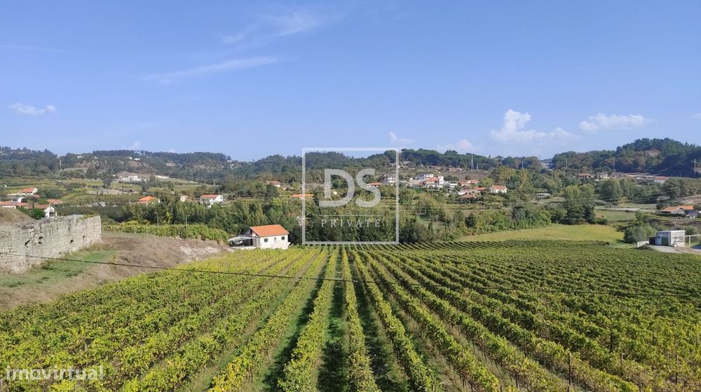 Terreno, Freixo de Cima e de Baixo