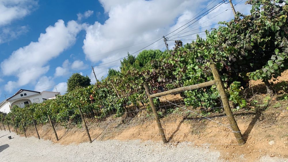 Vedação, Vedações, Cercas & Portão