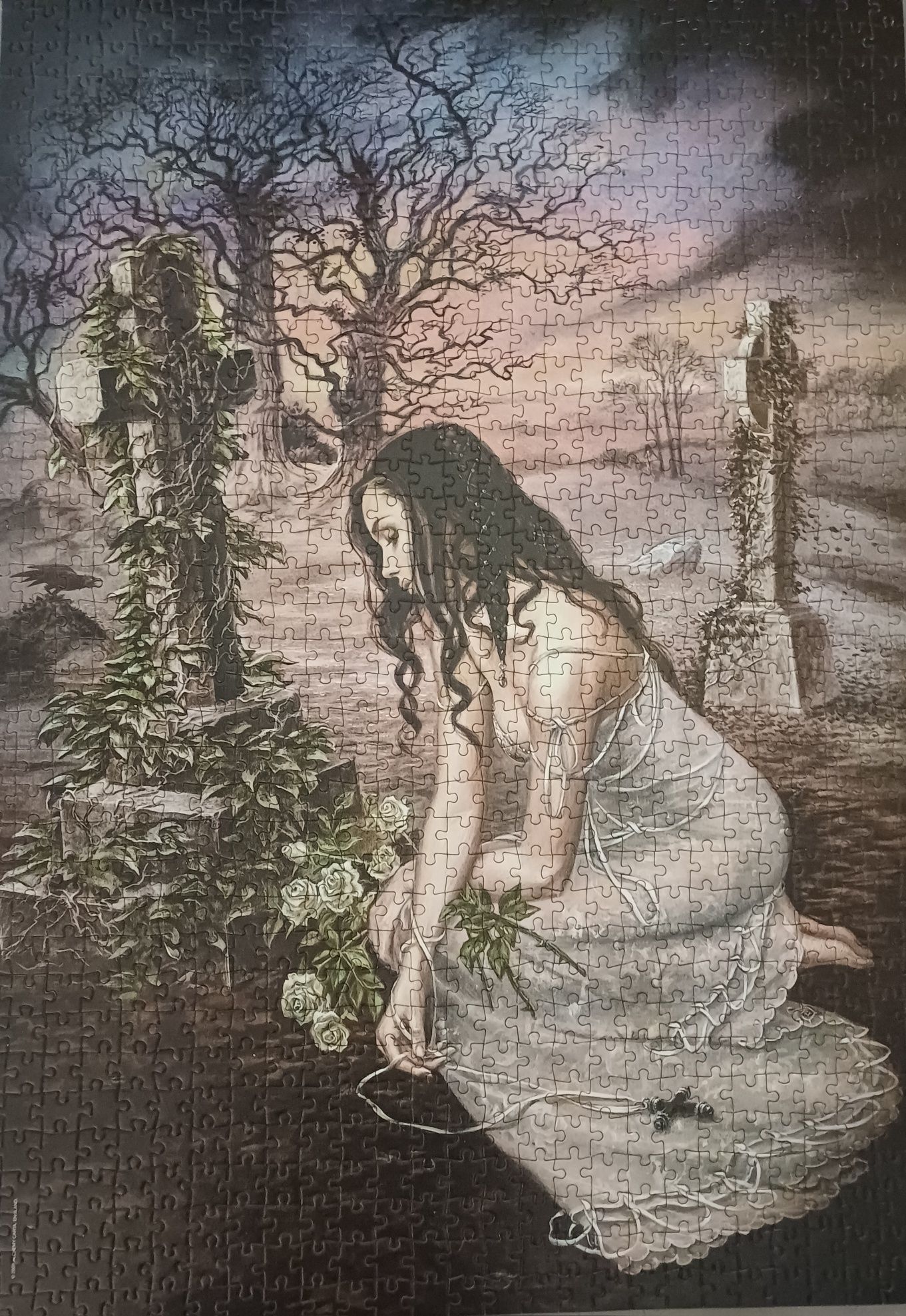 Sprzedam puzzle 1000 sztuk