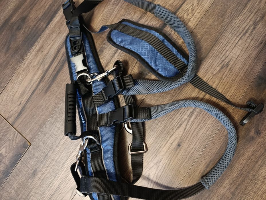 Szelki rehabilitacyjne dla dużego psa