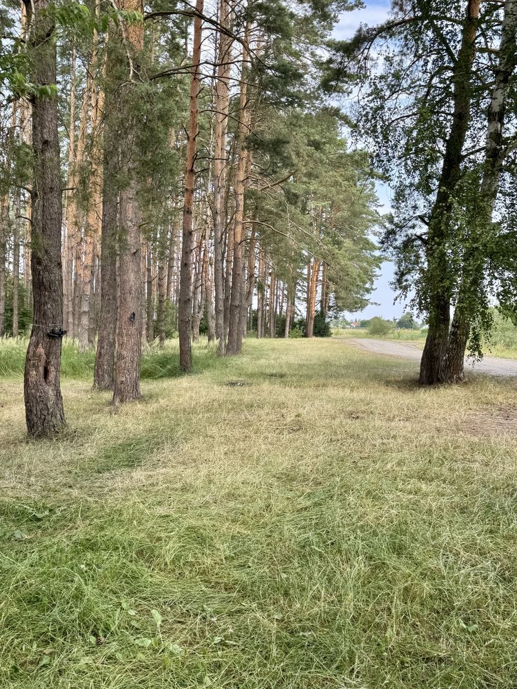 Земельна ділянка біля озера! 20 соток. Нове Залісся.
