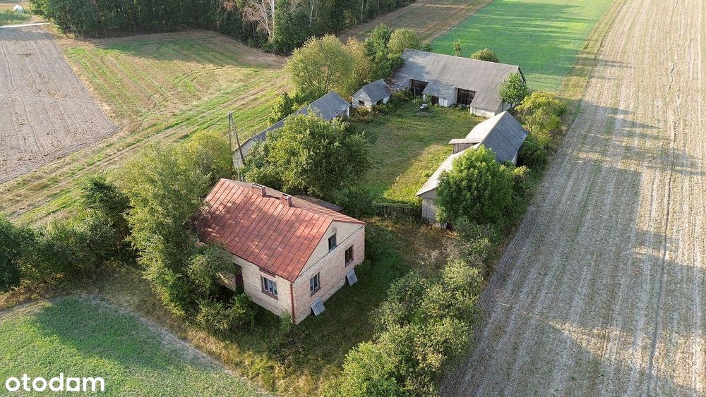 Sprzedam gospodarstwo w Strzakłach. Dom, zabudowania, pola, łąki, lasy