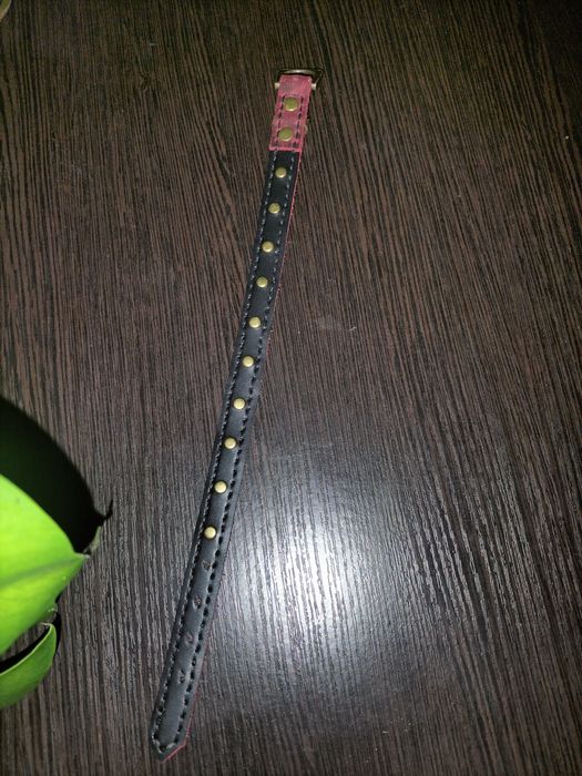 Ошийник для собаки