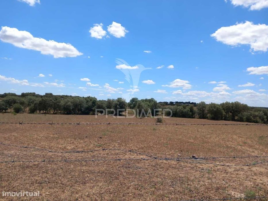 Terreno Com 5,675 (Ha)