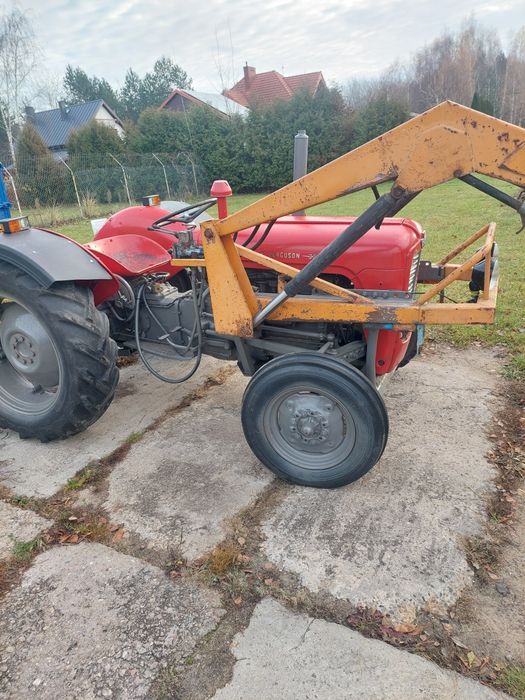 Massey Ferguson 35 Tur diesel zarejestrowany