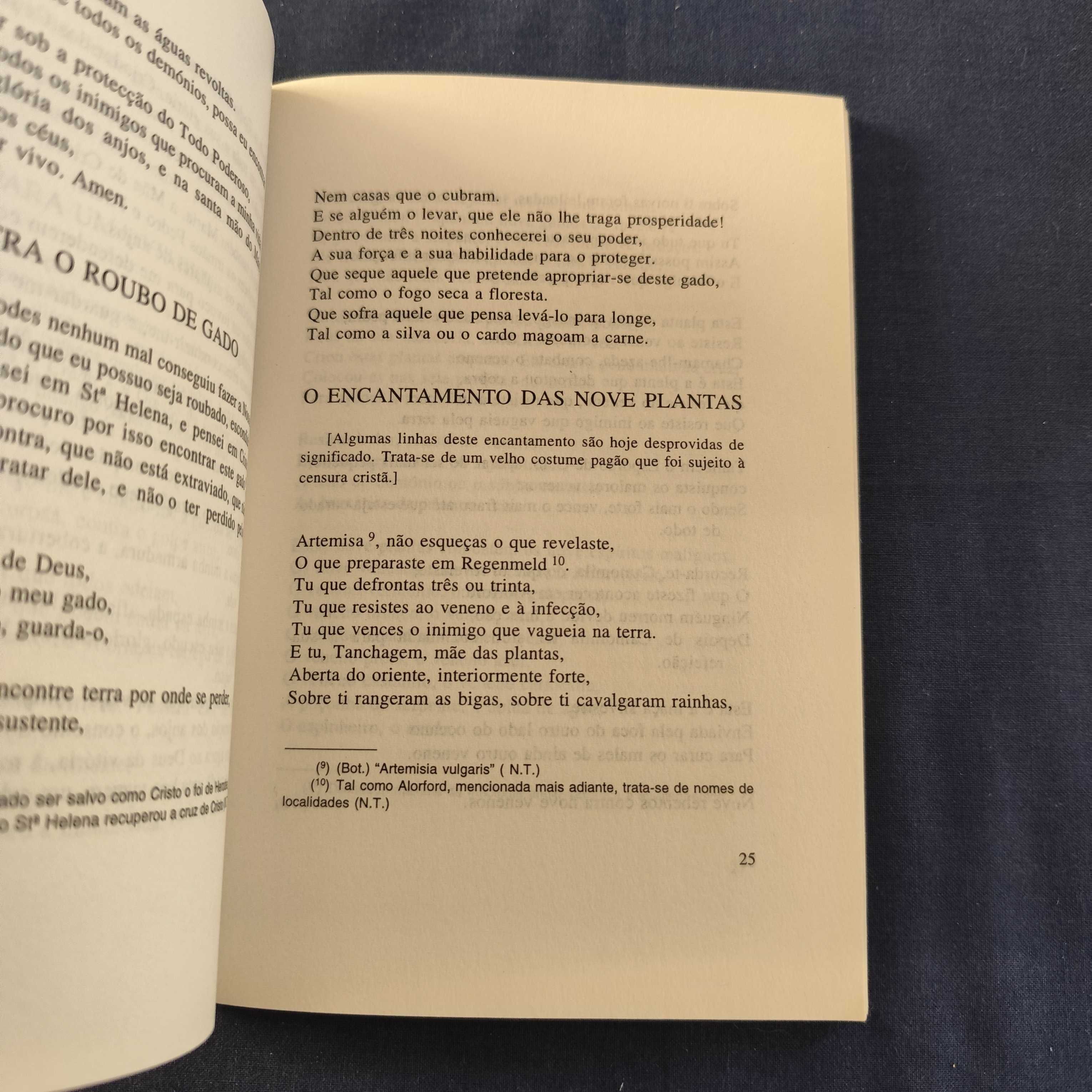 A Ruína e outros textos