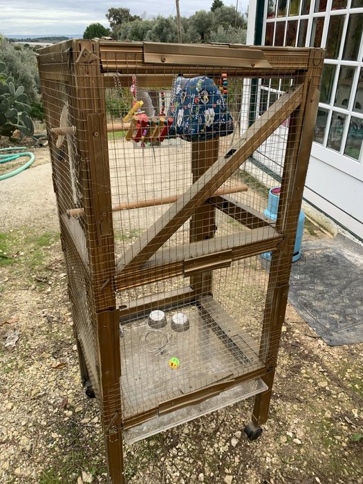 Gaiola passaro grande