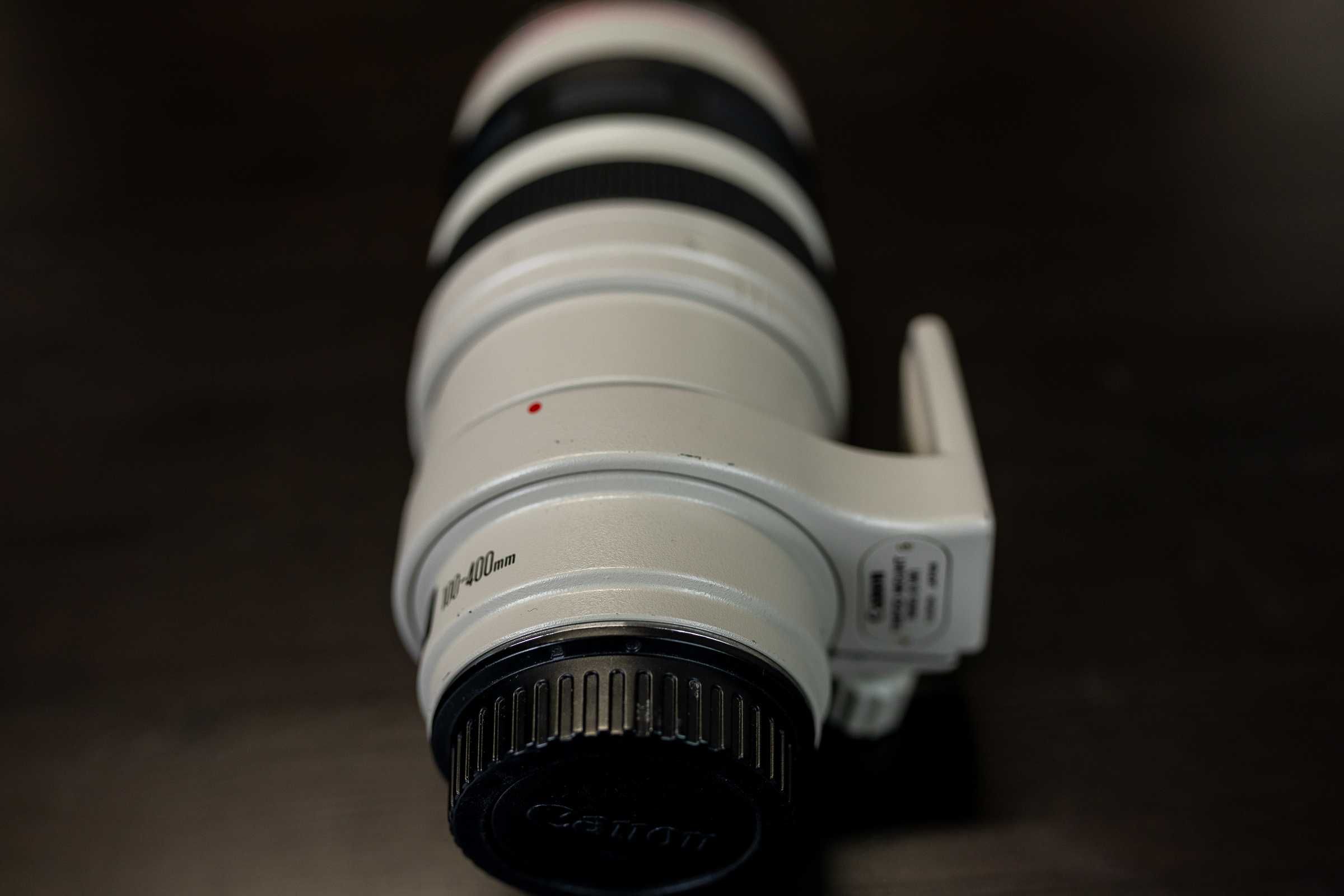 Canon EF 100-400 mm f/4.5-5.6 L IS USM