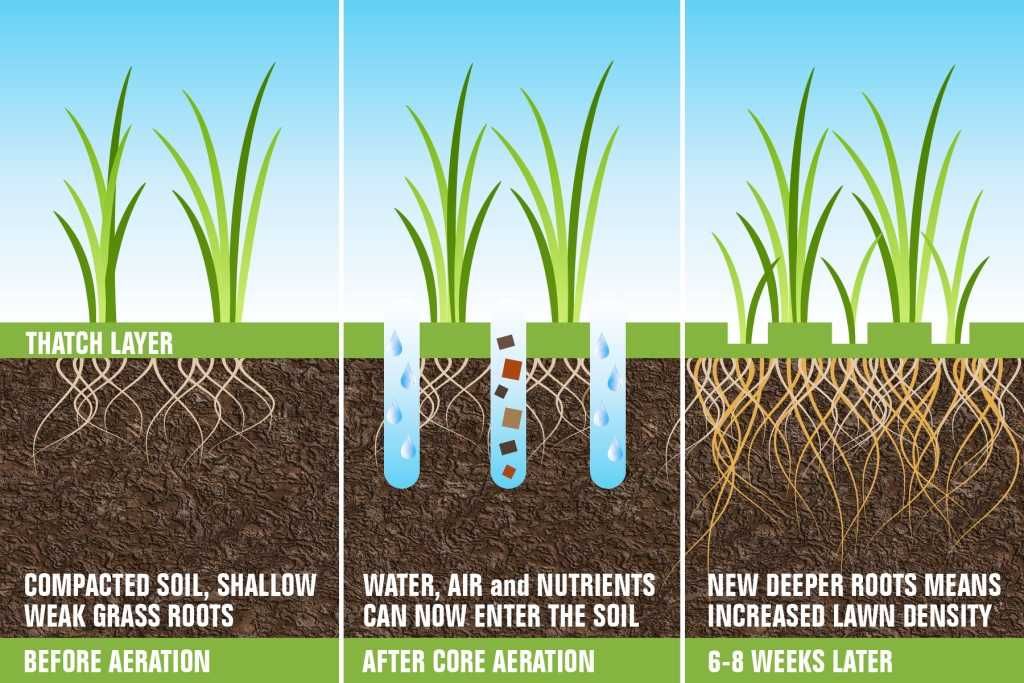 Aeracja trawników Wynajem Aeratora Aerator regeneracja piaskowanie