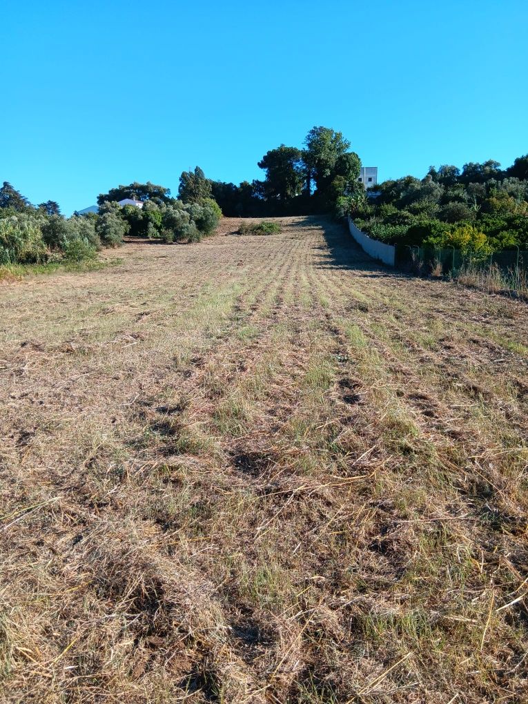 Terreno em Palmela