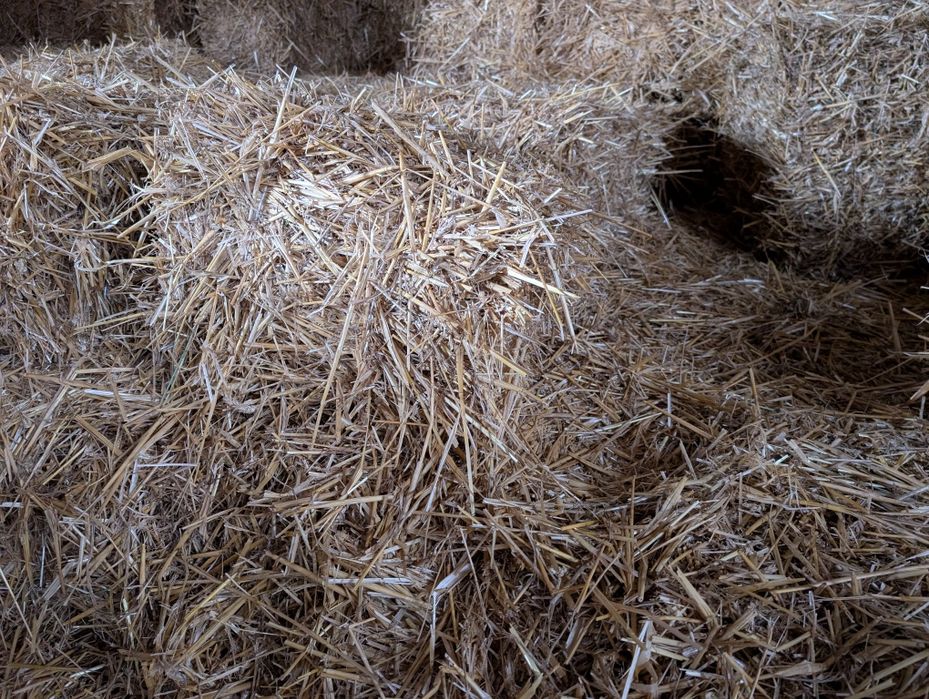 Sprzedam słomę kostka