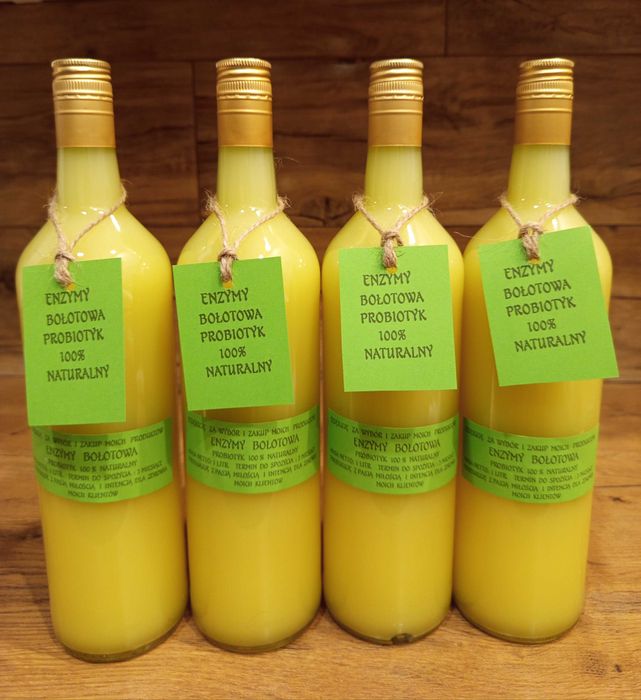 Enzymy Bołotowa Naturalny Probiotyk 4 litry Zestaw.