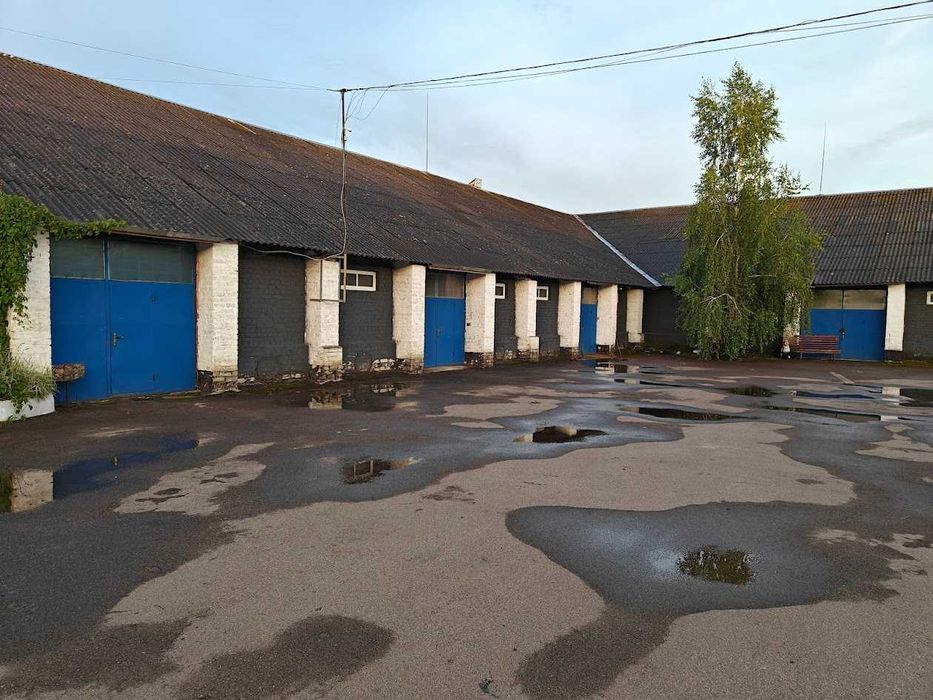 Склад в Сарнах в оренду 181 м.
