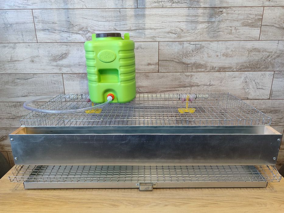 Клітка для перепелів