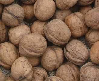 Orzechy włoskie Ekologiczne w łupinie 3kg Smaczne 2025